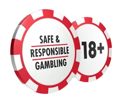 Responsible-Gambling lemon-casiino.site
